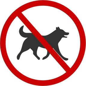 Hunde erlaubt